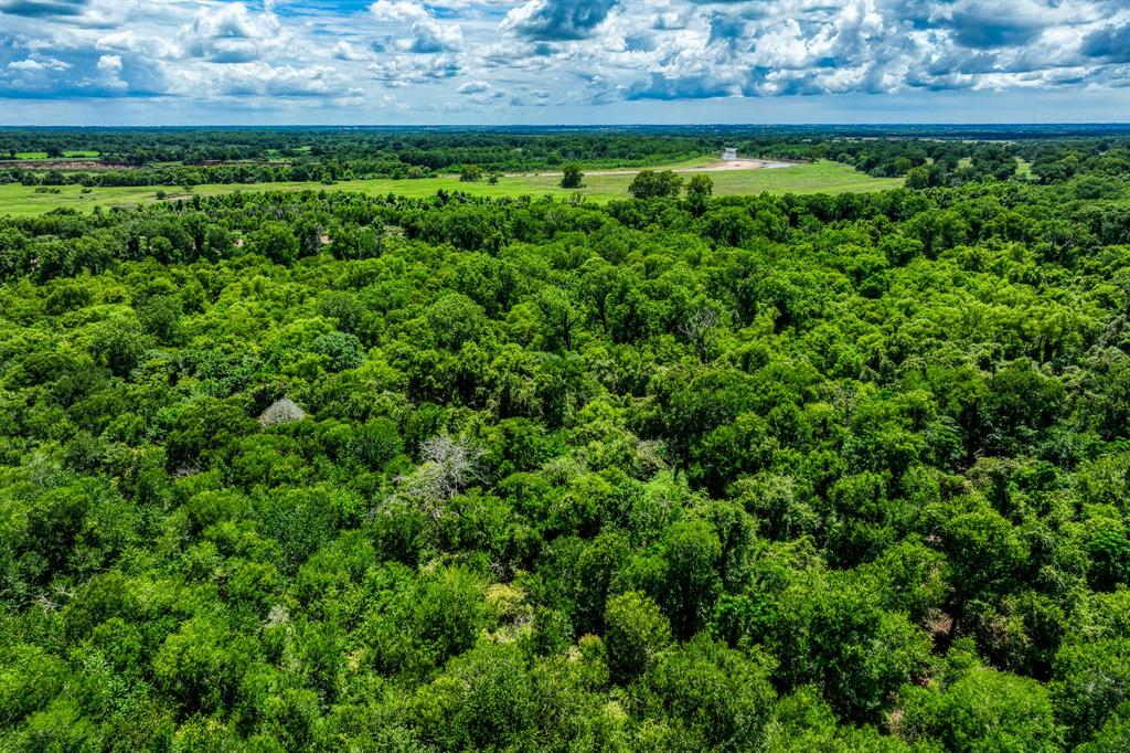 TBD (34.148 Acres) Pryor Road Esmt  , Brookshire, Texas image 38