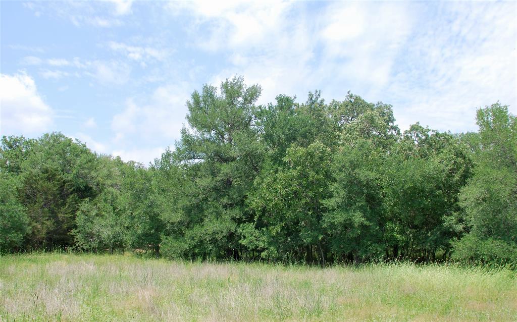 11.15 acres with multiple building sites, dotted with Post Oaks and Live Oaks. There is a beautiful spot of oaks with an ideal location for building a new pond! A new entrance and newly cut trails for exploring the property. Small acreage tracts are few and far between in this area. The county road is well maintained. Located in a great school district, Moulton ISD, this property is centrally located between Houston, Austin, and San Antonio. 10 miles south of I-10, for easy access to and from the Interstate. Light restrictions in place to protect your investment. Electricity nearby. Additional acreage available, ask listing agent for details.