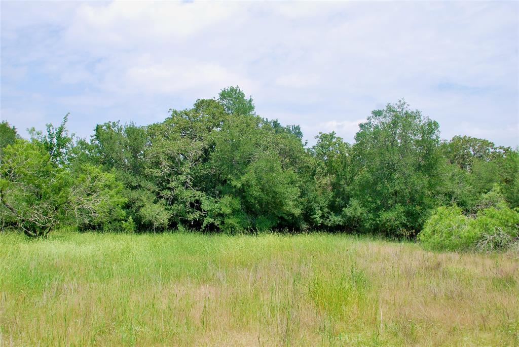 3162 County Rd 397  , Moulton, Texas image 11