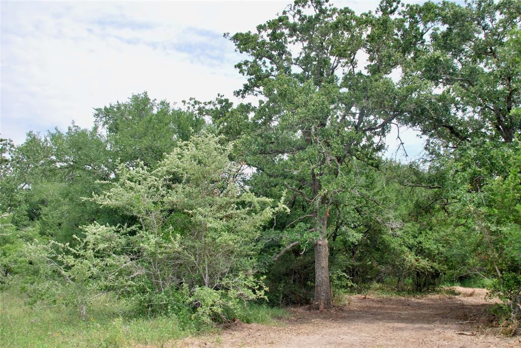 3162 County Rd 397  , Moulton, Texas image 17