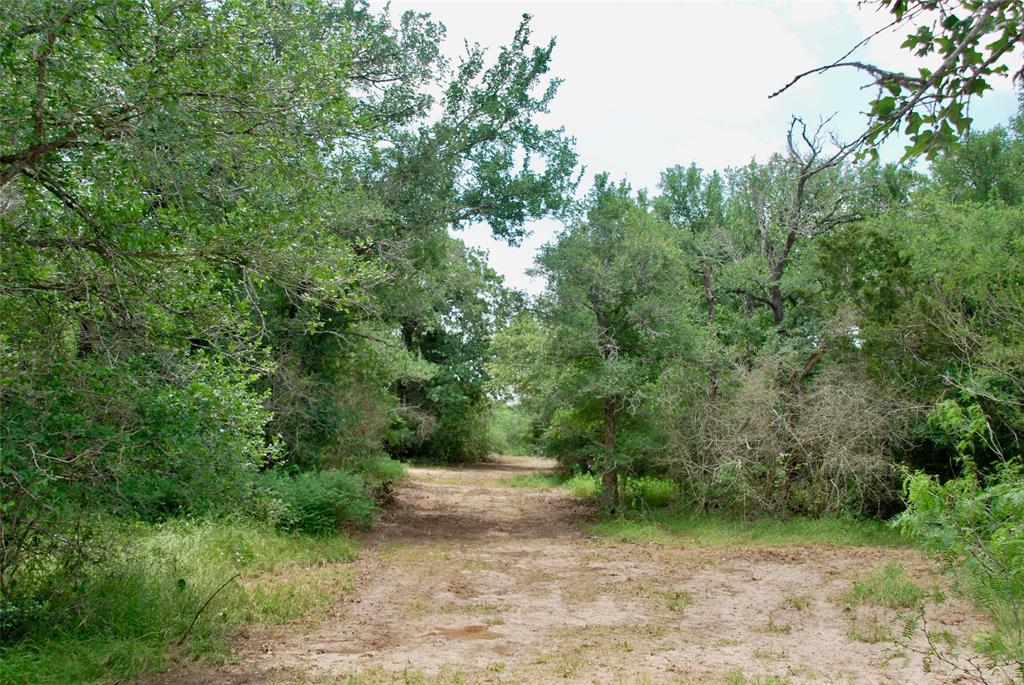 3162 County Rd 397  , Moulton, Texas image 18