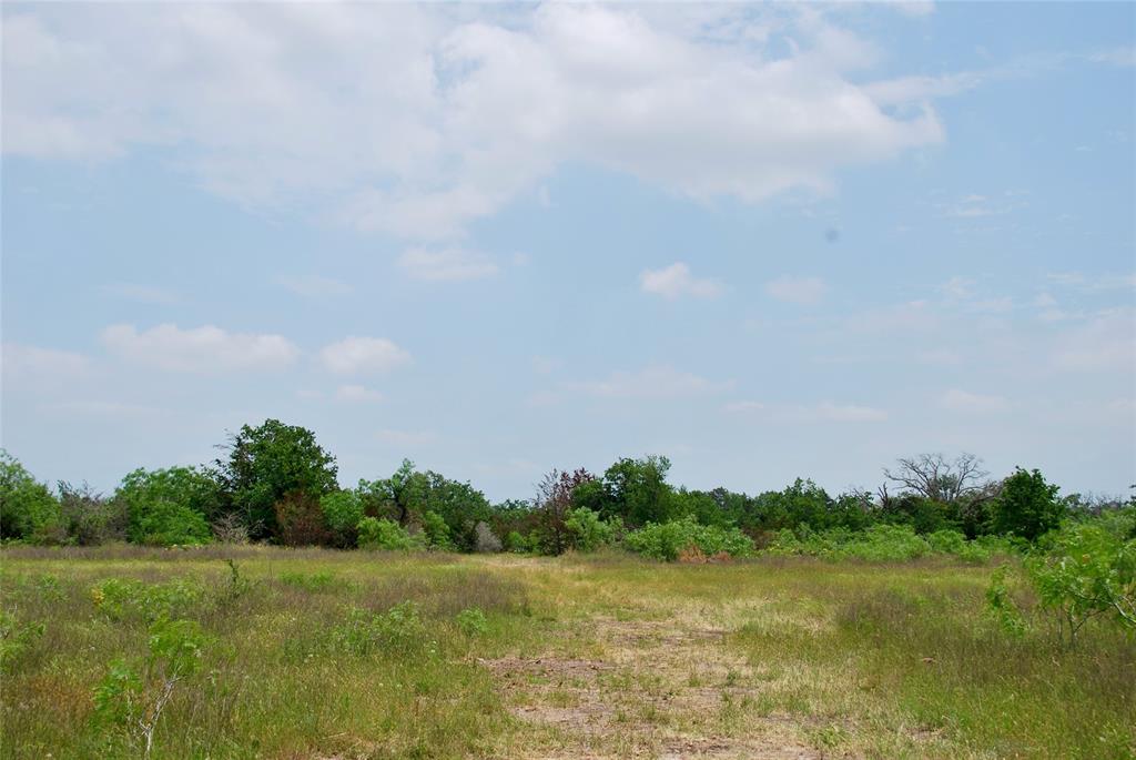 3162 County Rd 397  , Moulton, Texas image 22