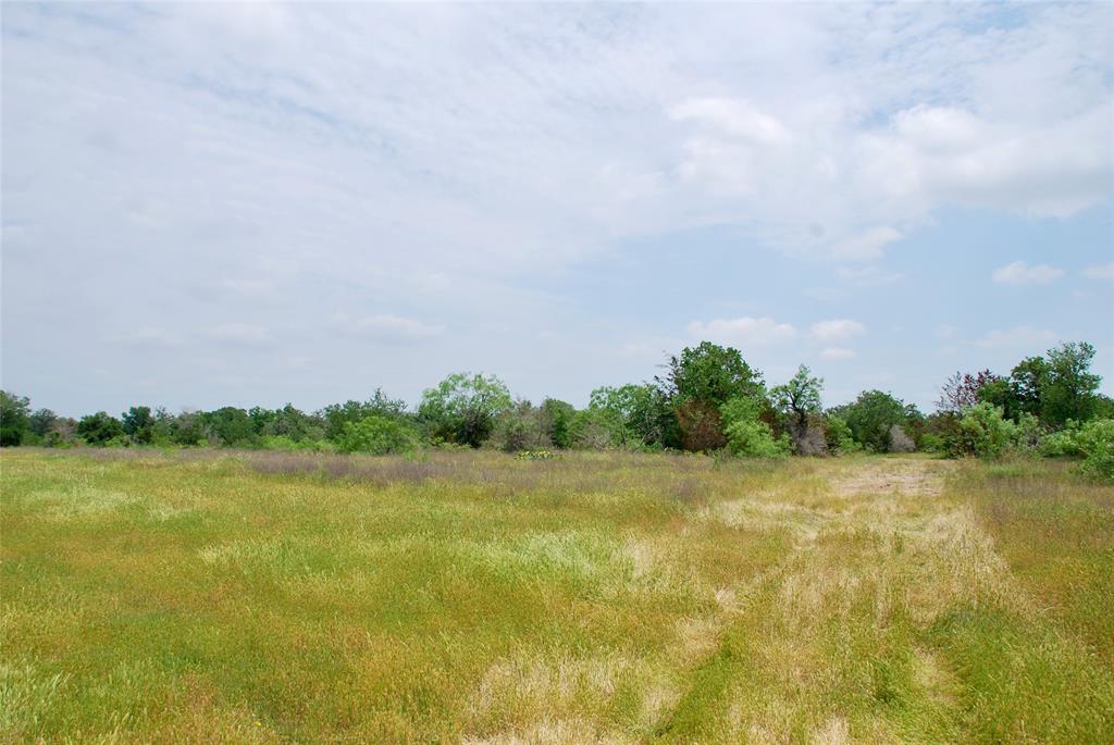 3162 County Rd 397  , Moulton, Texas image 23