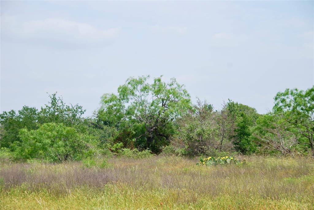 3162 County Rd 397  , Moulton, Texas image 24