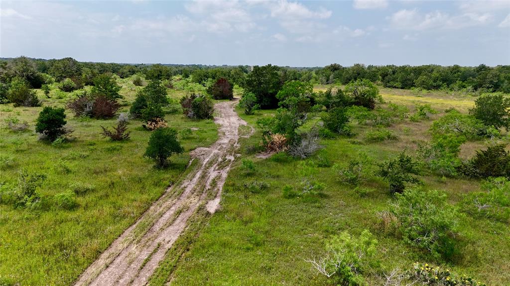 3162 County Rd 397  , Moulton, Texas image 29