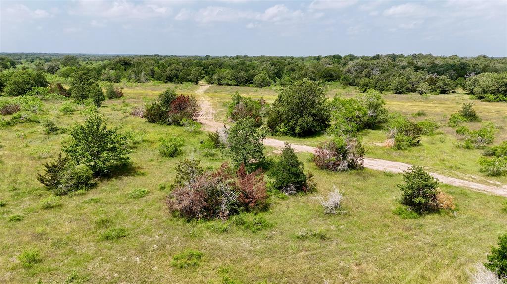 3162 County Rd 397  , Moulton, Texas image 30