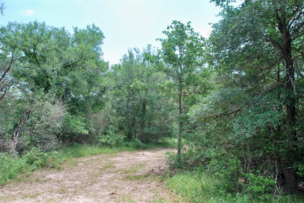 3162 County Rd 397  , Moulton, Texas image 5