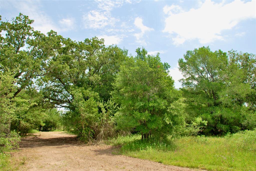 3162 County Rd 397  , Moulton, Texas image 6