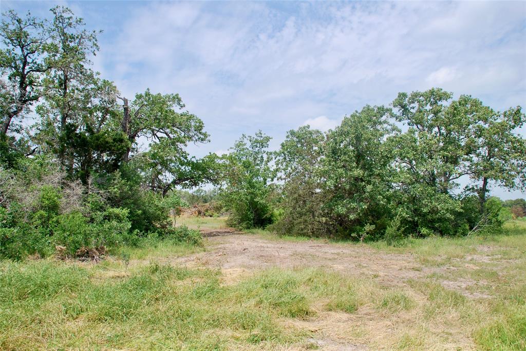 3162 County Rd 397  , Moulton, Texas image 7