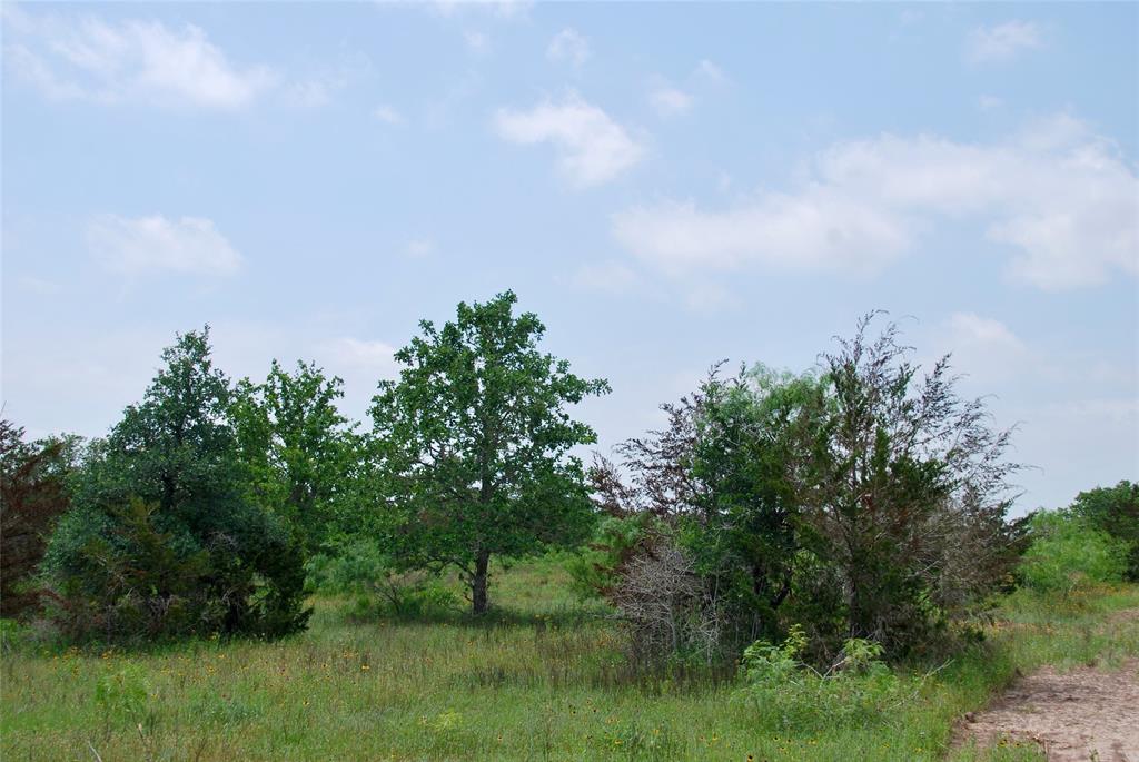 3162 County Rd 397  , Moulton, Texas image 8