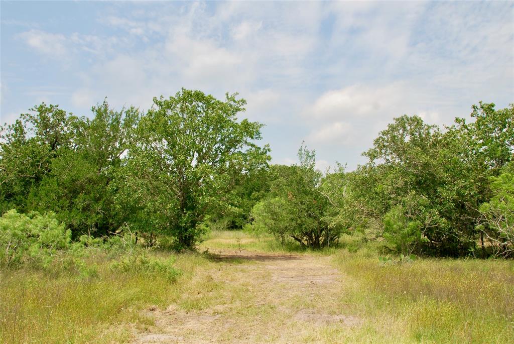 3162 County Rd 397  , Moulton, Texas image 9