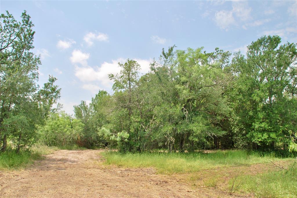 3162 County Rd 397  , Moulton, Texas image 10