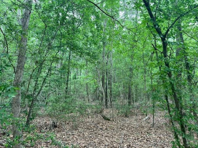 Rare find! Small acreage in a secluded part of the county. This tract is accessed by a roughly 600-foot easement.  The tract has a lot of timber scattered throughout and is pretty to walk through.  This tract can be found in the much sought after Big Sany School district.  Water is available through Dallardsville water supply.  These small tracts don't last long.  Come take a look at this one today!