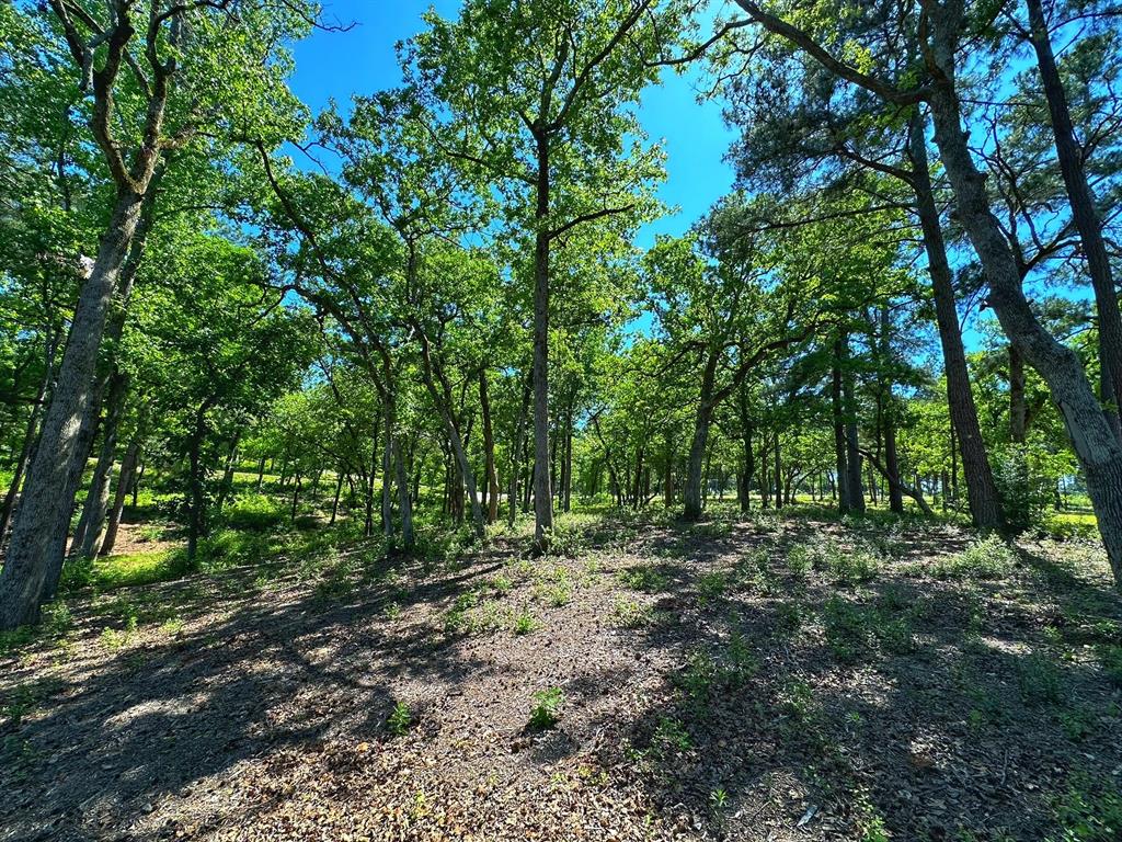 Tract 152 Pr 1311  , Centerville, Texas image 11