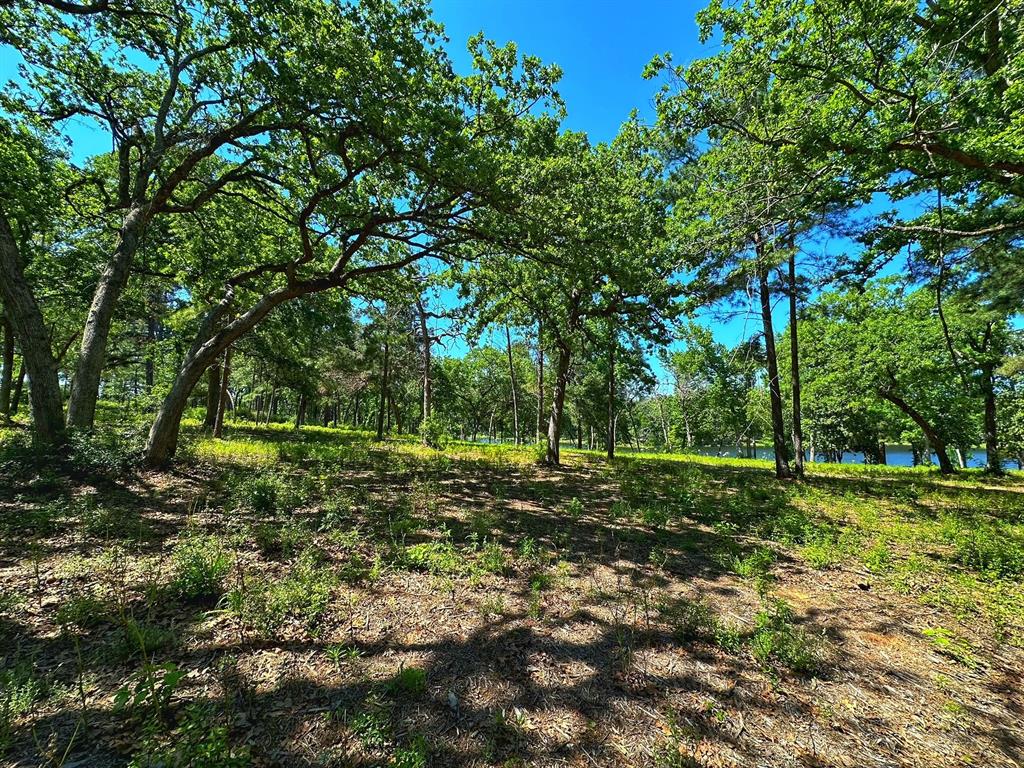 Tract 152 Pr 1311  , Centerville, Texas image 9