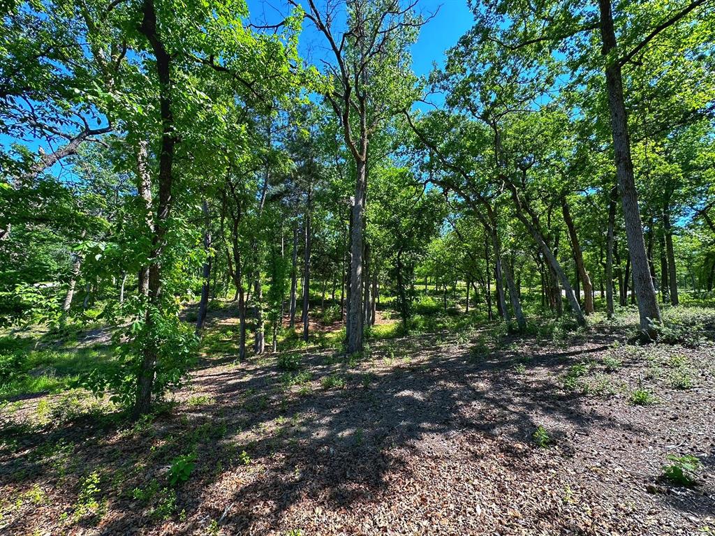 Tract 153 Pr 1311  , Centerville, Texas image 10