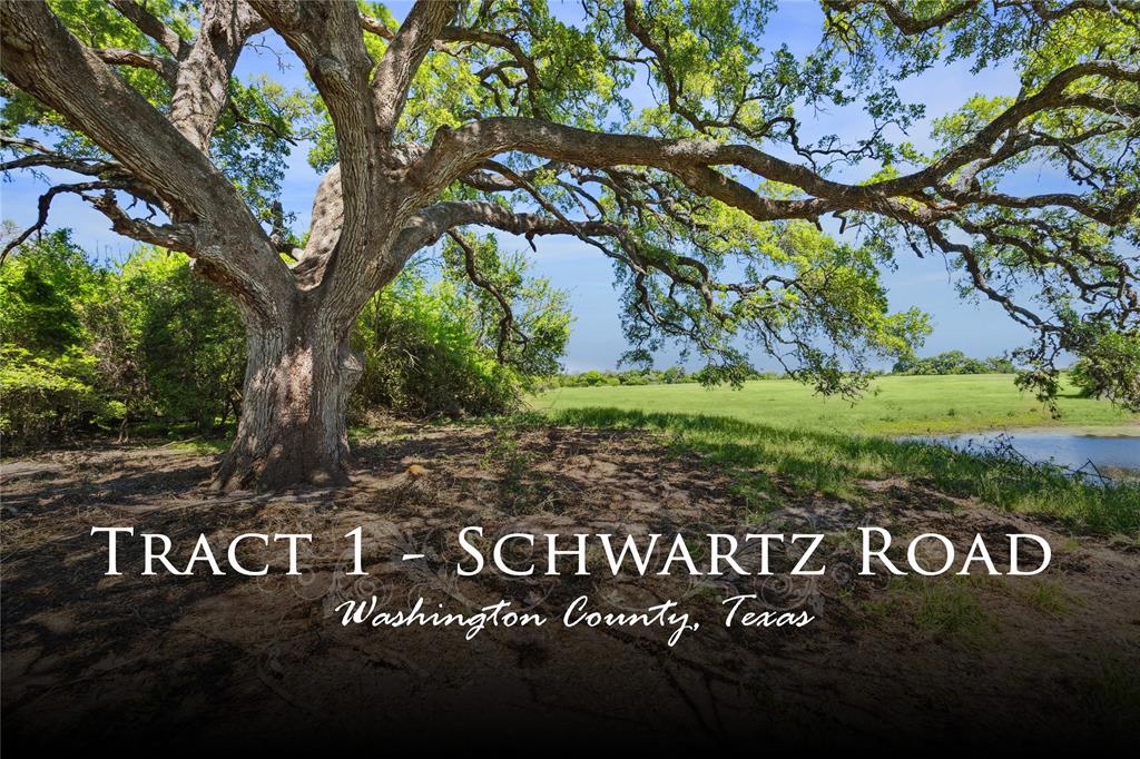+/- 31.18 acres of breathtaking, long distance views of soft rolling topography excellently located off a paved road in Brenham just off of scenic Fm 390.   One of the standout features of this property is the abundance of huge live oaks trees scattered throughout the land.  These majestic trees provide shade, beauty, and a sense of tranquility.  A wet weather creek meanders through the property, adding to the natural charm and providing a serene spot to relax or explore.  Additionally, there are ponds on the property, offering opportunities for fishing or simply enjoying the peaceful surroundings.  The property benefits from a wildlife exemption, minerals are negotiable, and light restrictions will be added to ensure the beauty and tranquility of the area are preserved. The sandy soil on this property is ideal for gardening and landscaping, The mix of improved pasture and woods creates a harmonious balance between open fields and tranquil wooded areas.  Several prime build sites.