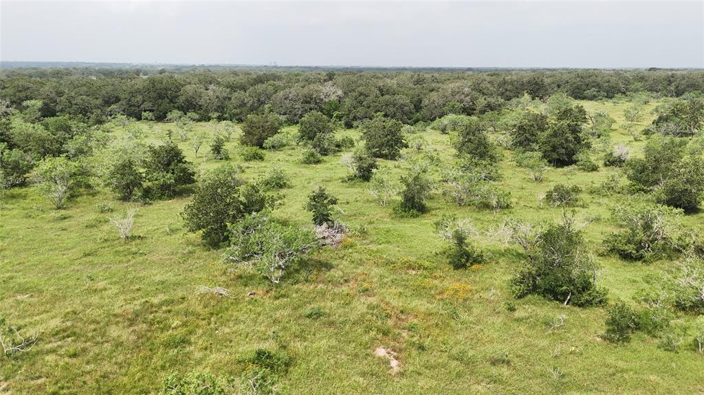 Tract 6 Cr 482  , Gonzales, Texas image 13