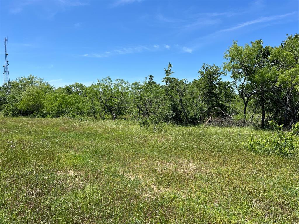 Tract 6 Cr 482  , Gonzales, Texas image 4