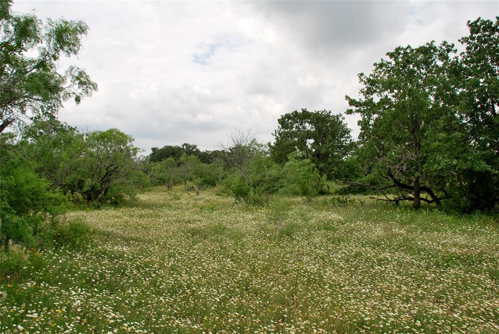 Tract 6 Cr 482  , Gonzales, Texas image 6