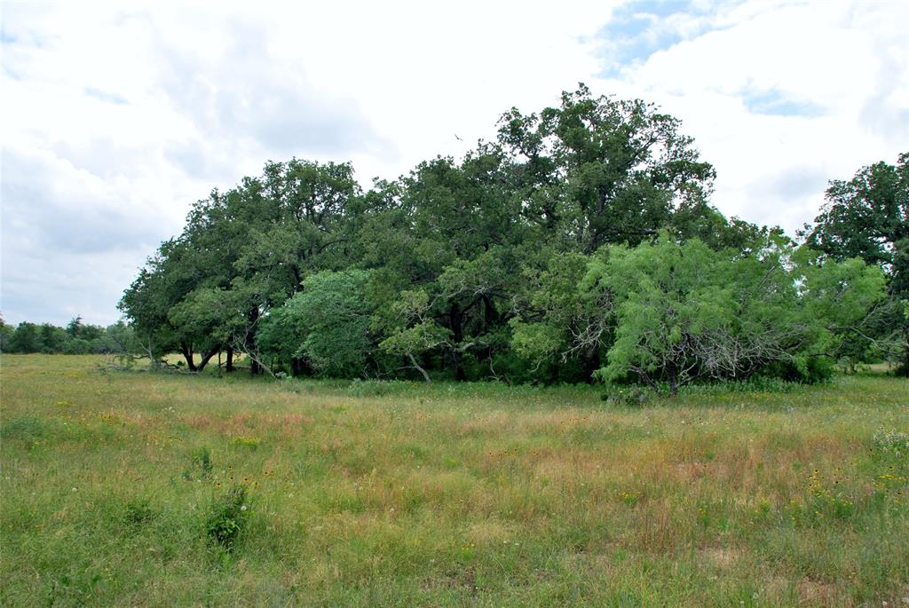 Tract 6 Cr 482  , Gonzales, Texas image 7