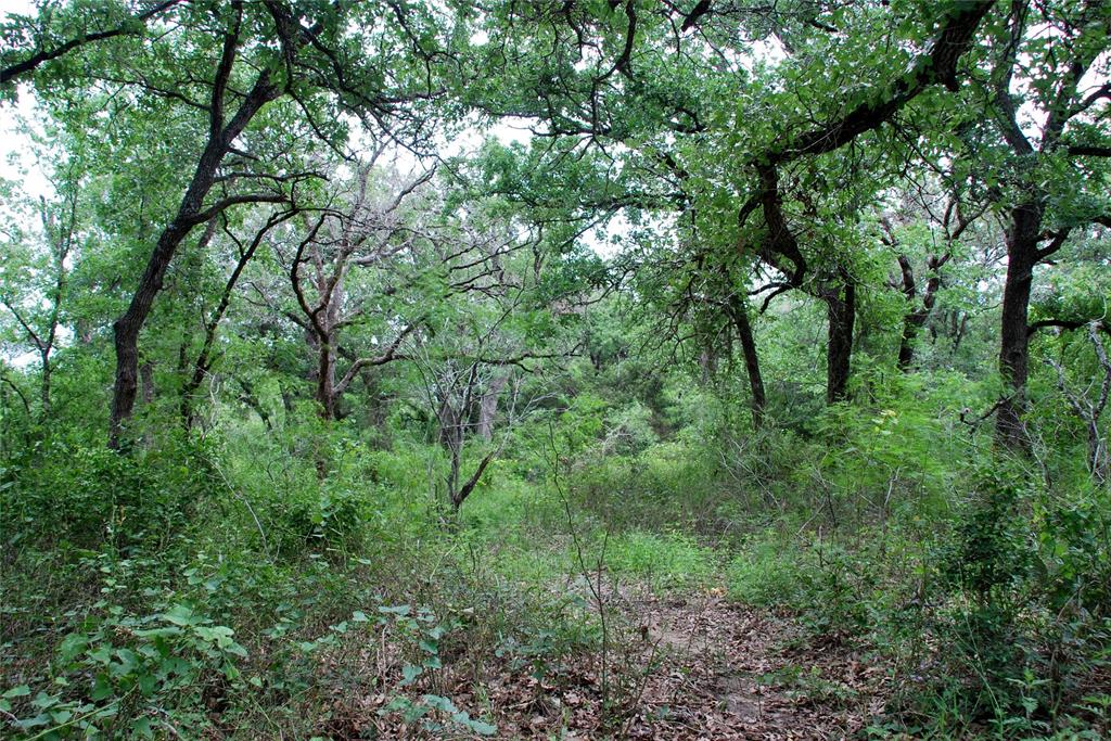 Tract 6 Cr 482  , Gonzales, Texas image 9