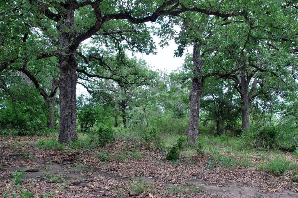 Tract 6 Cr 482  , Gonzales, Texas image 10