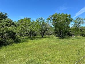 Tract 6 CR 482, Gonzales, TX 78629