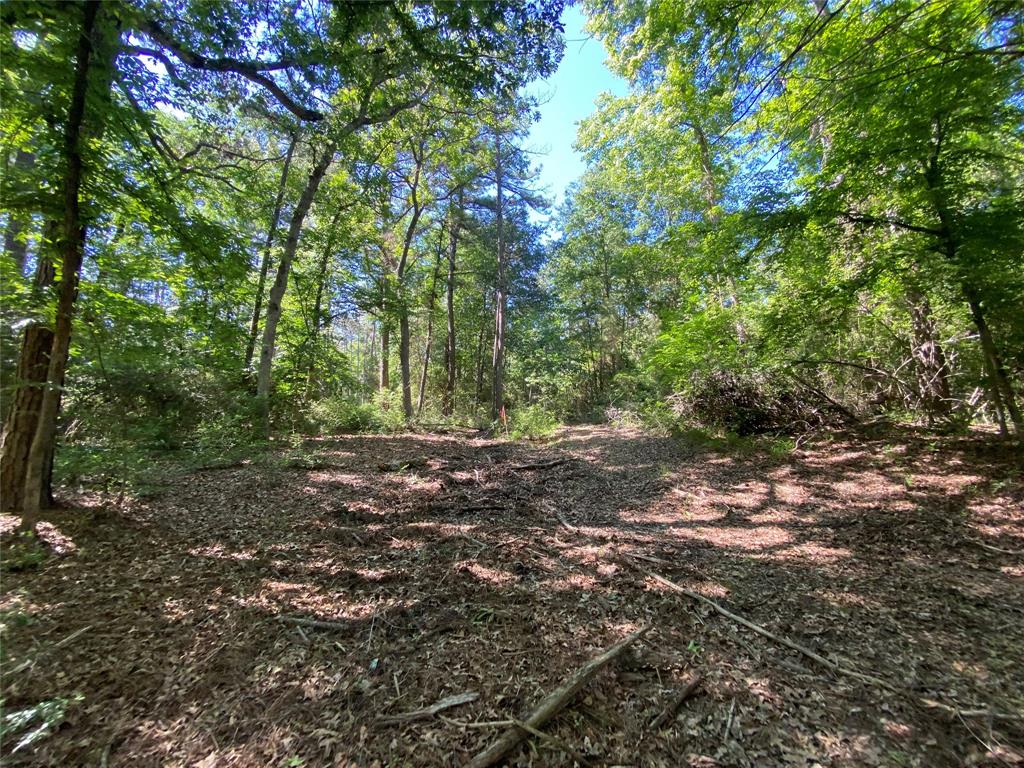 Lot 22 Pr 1313  , Centerville, Texas image 14