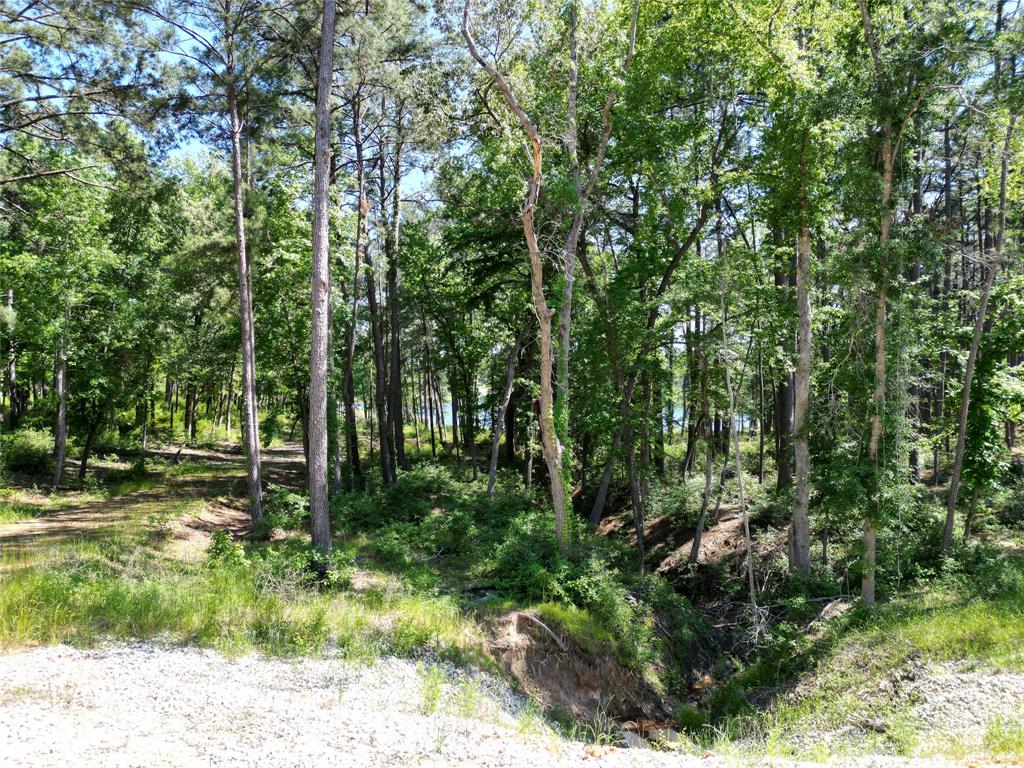 Lot 22 Pr 1313  , Centerville, Texas image 15