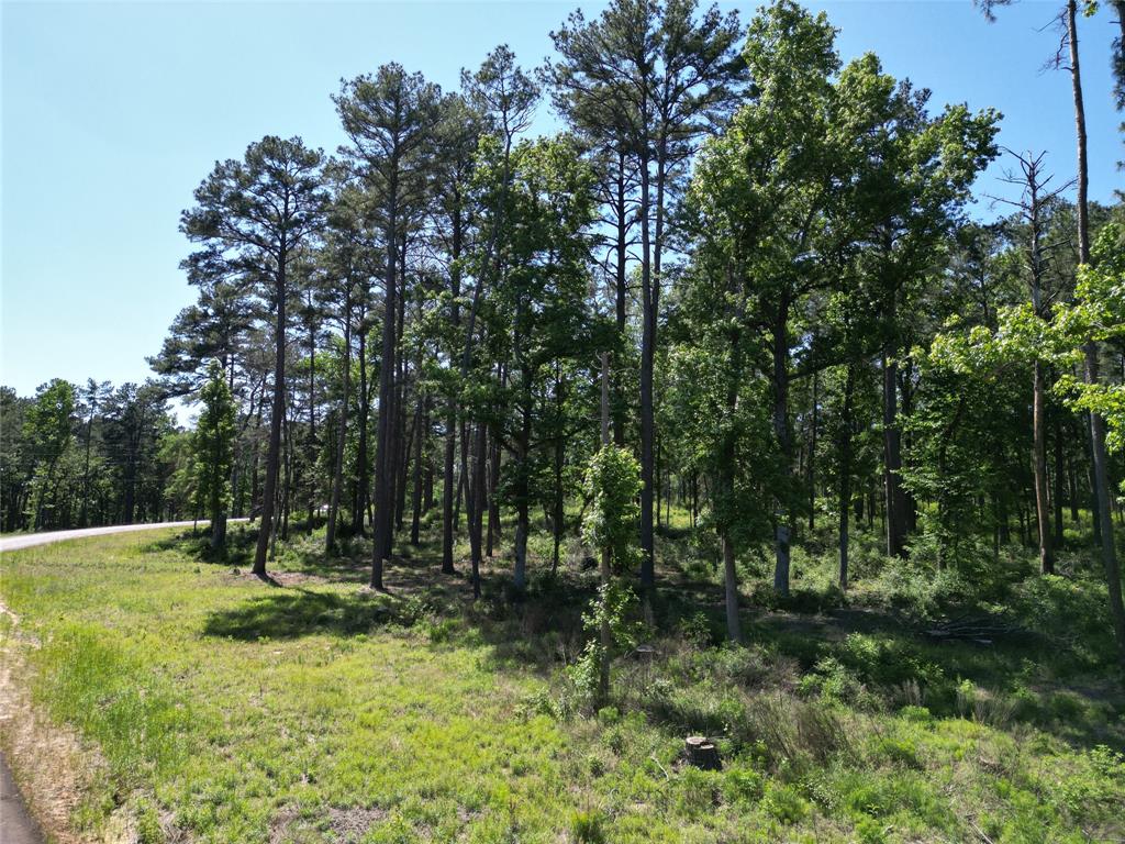 Lot 22 Pr 1313  , Centerville, Texas image 26