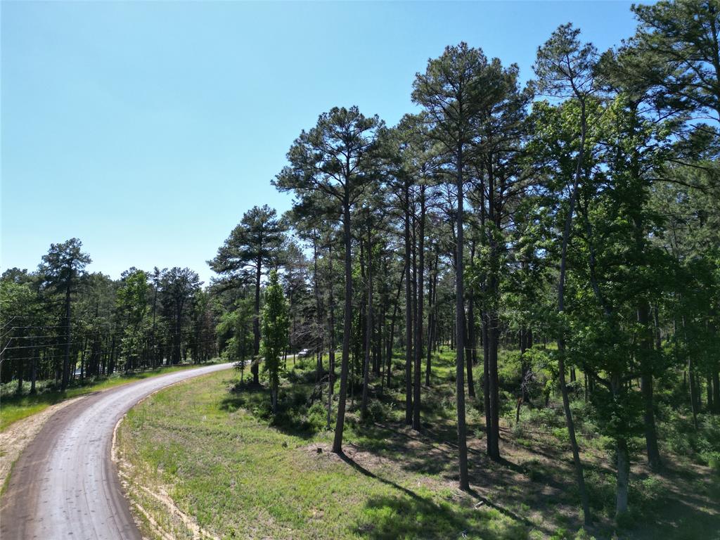 Lot 22 Pr 1313  , Centerville, Texas image 29