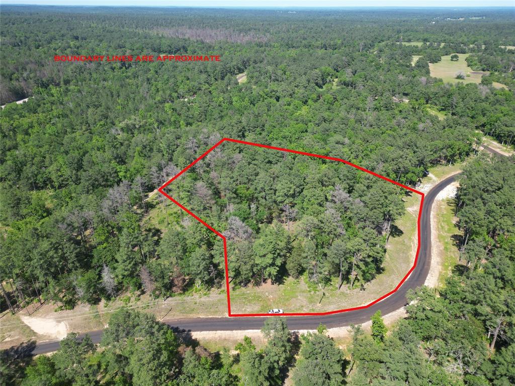 Lot 22 Pr 1313  , Centerville, Texas image 30