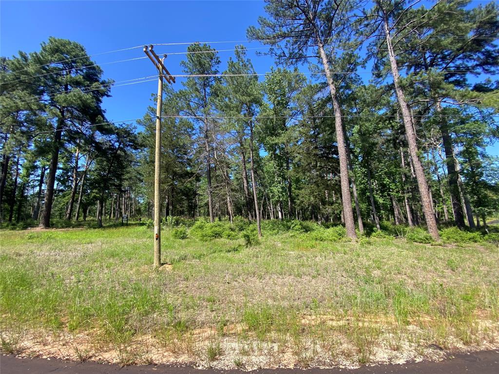 Lot 22 Pr 1313  , Centerville, Texas image 38