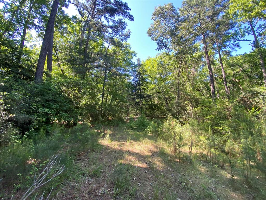 Lot 22 Pr 1313  , Centerville, Texas image 40