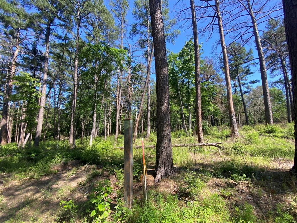 Lot 22 Pr 1313  , Centerville, Texas image 43