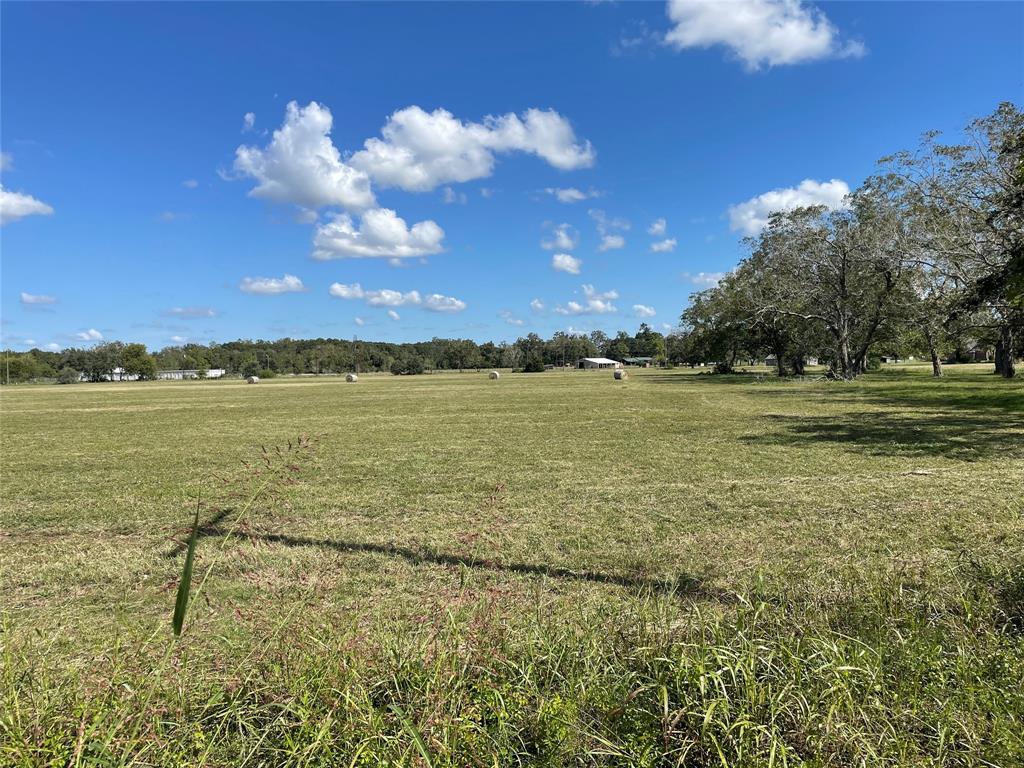 0000 Hwy 36  , Brazoria, Texas image 7