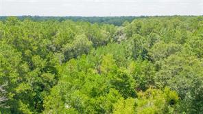  18600 Woodland Forest Drive, Conroe, TX 77306