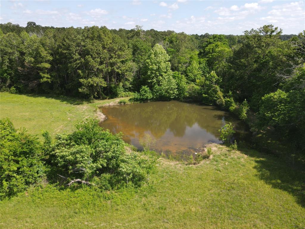 000 Ellisor Road , New Waverly, Texas image 7