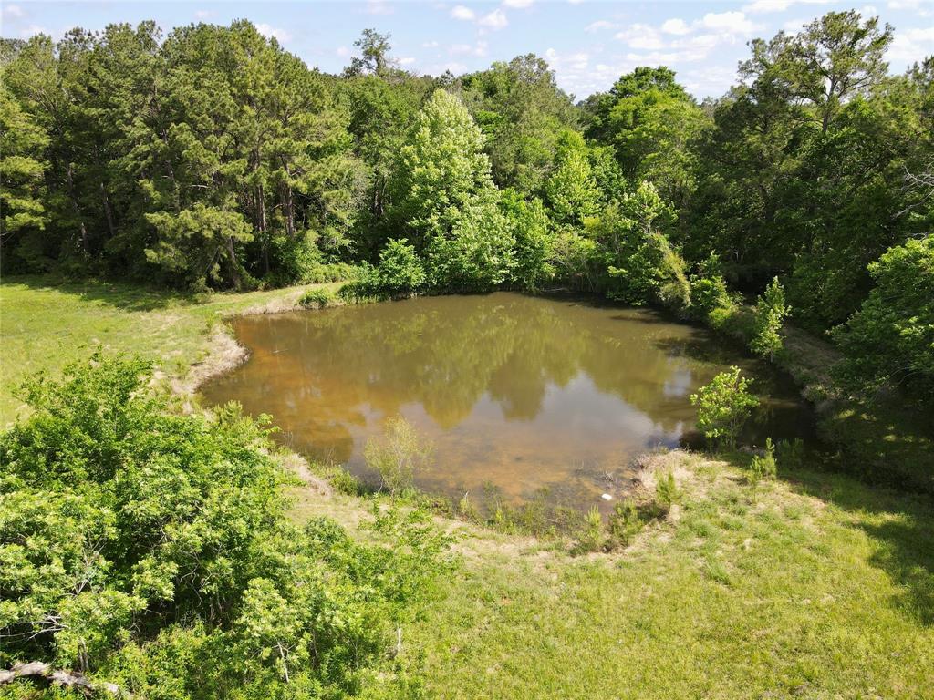 000 Ellisor Road , New Waverly, Texas image 8