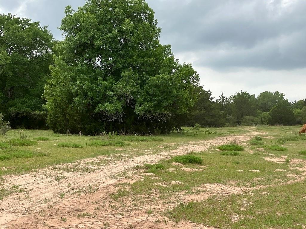 1263 Private Road 1021  , Hallettsville, Texas image 7