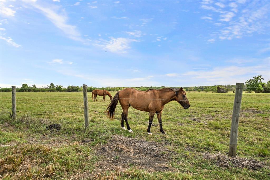 16150 County Road 522  , Guy, Texas image 8