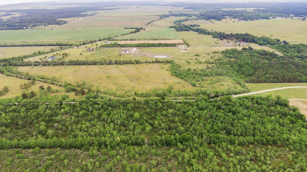 Haynes Road , Anahuac, Texas image 11