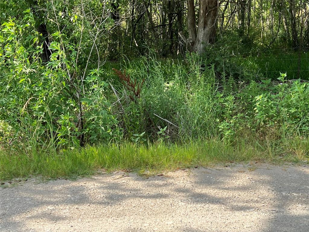 Haynes Road , Anahuac, Texas image 14