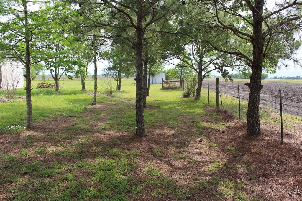 16.5+/- acre lot ready for new owners in growing Needville, TX! No restrictions! Build your dream home on this lovely tract! LOW 1.9 tax rate with current Ag Exemption. Horses allowed. Minutes from HWY 36. Schedule a tour TODAY!