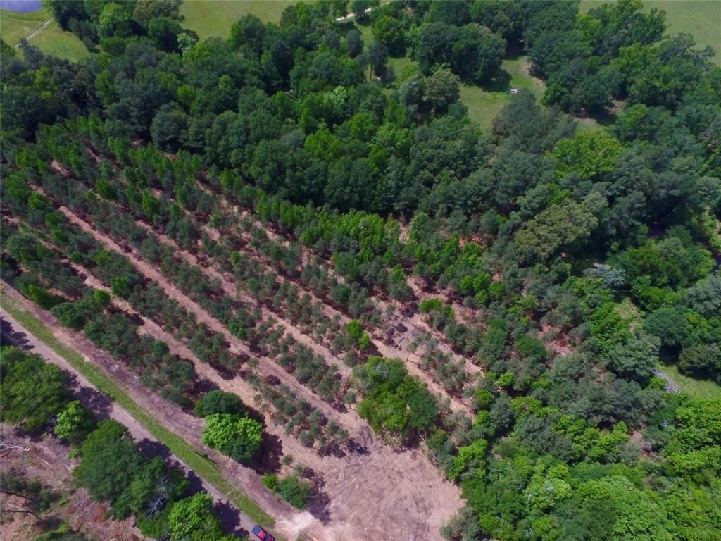 TBD-2 Cr 374  , Gladewater, Texas image 14