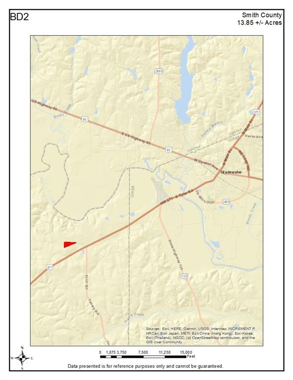 TBD-2 Cr 374  , Gladewater, Texas image 16