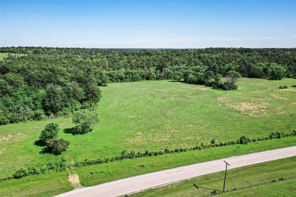 55 Acres of stunning pastureland and woods in San Jacinto County. Nothing on the market competes with these aesthetics. The land is sandy loam soil, with a pretty pond, rolling terrain, with over 30 ft of elevation changes. The wooded portion makes up about 3/4 of the land, loaded with a mixture of pine and hardwood trees. The pastureland is lush and green, with multiple homesite potential. It's truly breathtaking, so definitely make plans to come and see it.