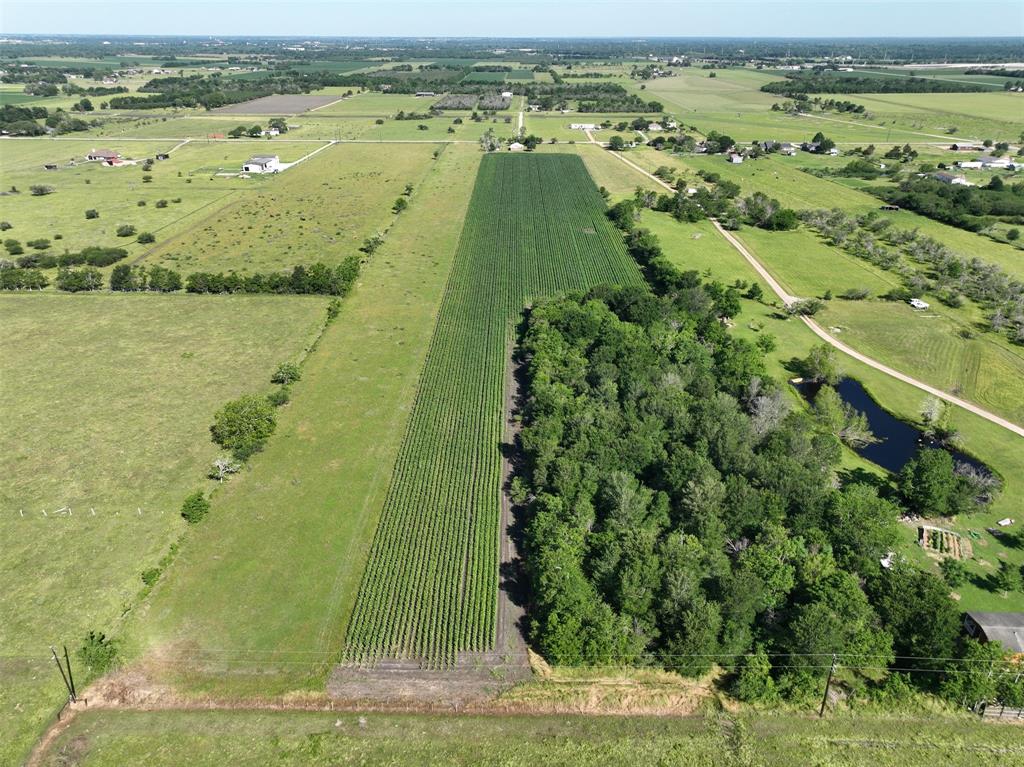 11614 Saha Road , Sealy, Texas image 5