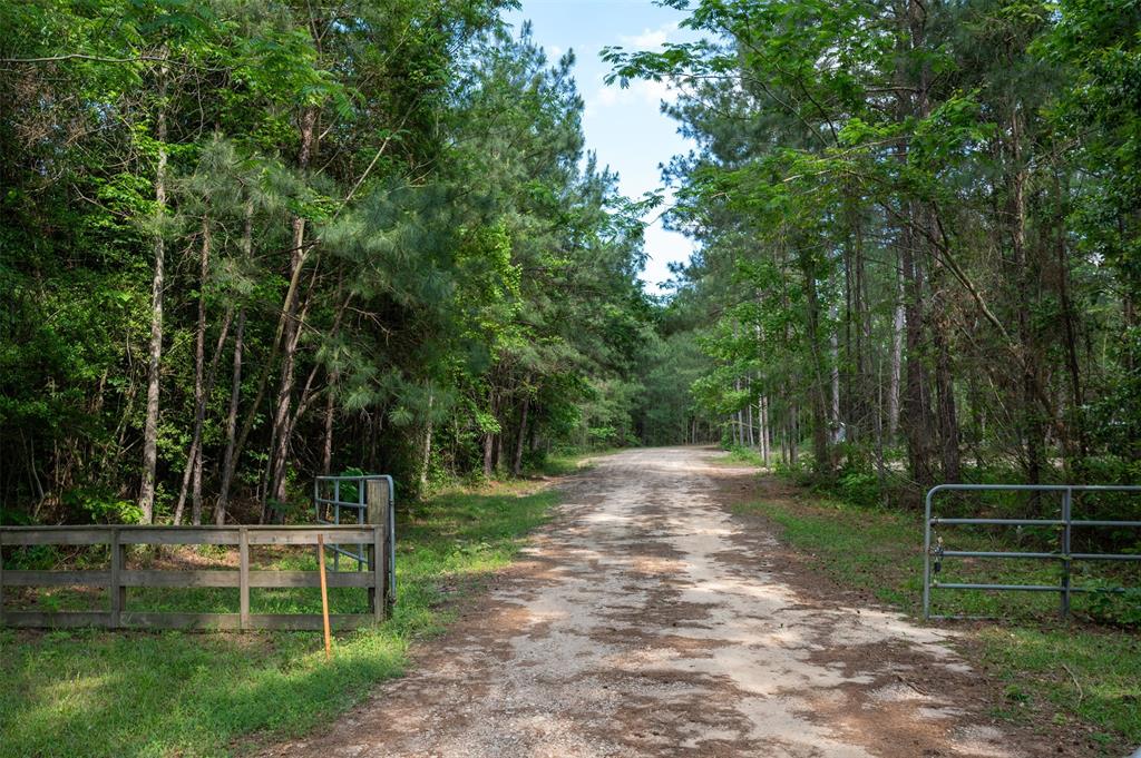 Tbd County Road 3000  , Woodville, Texas image 4